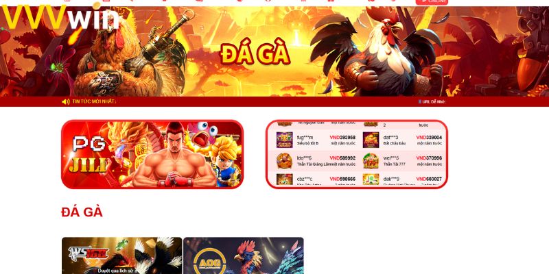 Chỉ với 3 bước bạn đã có thể tham gia đá gà 